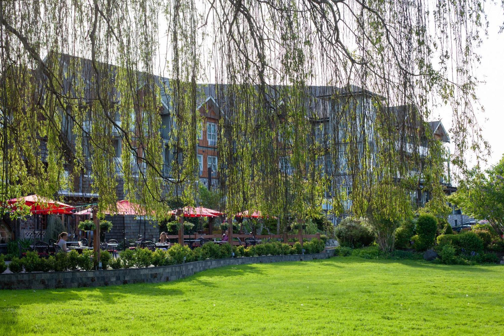 Old House Hotel Courtenay Εξωτερικό φωτογραφία